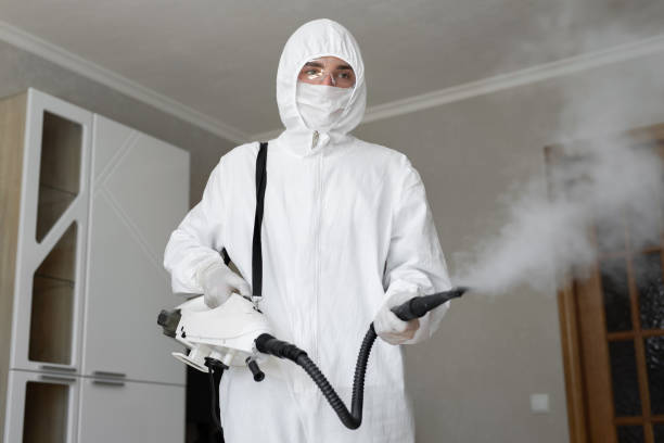 Mold Odor Removal Services in Satsuma, AL